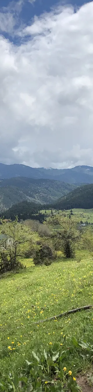 Erfahre mit dem Mountain-Bike die Rugova Schlucht